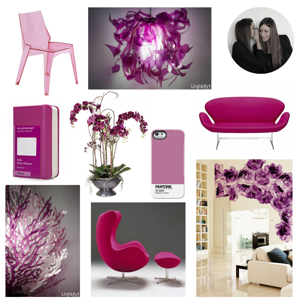 our radiant orchid choose